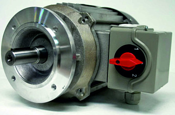 Двигатель Sabiel MOTORDP