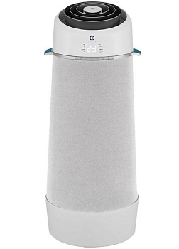 Кондиционер Electrolux EACM-10FP/N6