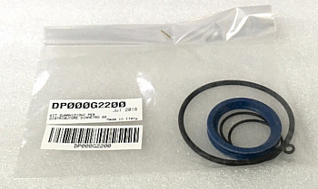 Комплект прокладок Carel DP000G2200